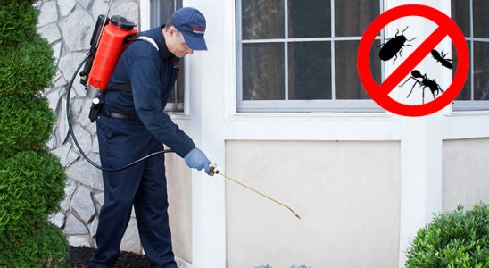 Salıpazarı Akrep İlaçlama böcek ilaçlama ve haşere kontrolü — ilaclama-tr.com